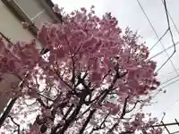 居木神社の周辺