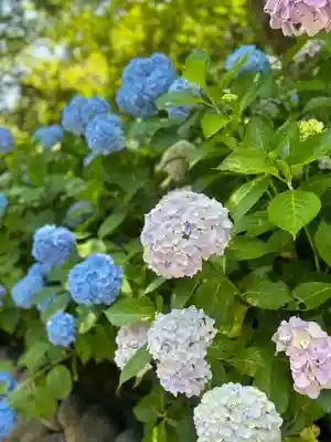 尊永寺(静岡県)