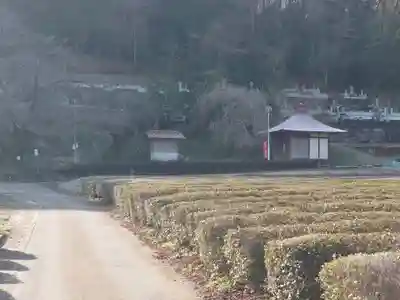 山際観音堂(埼玉県)
