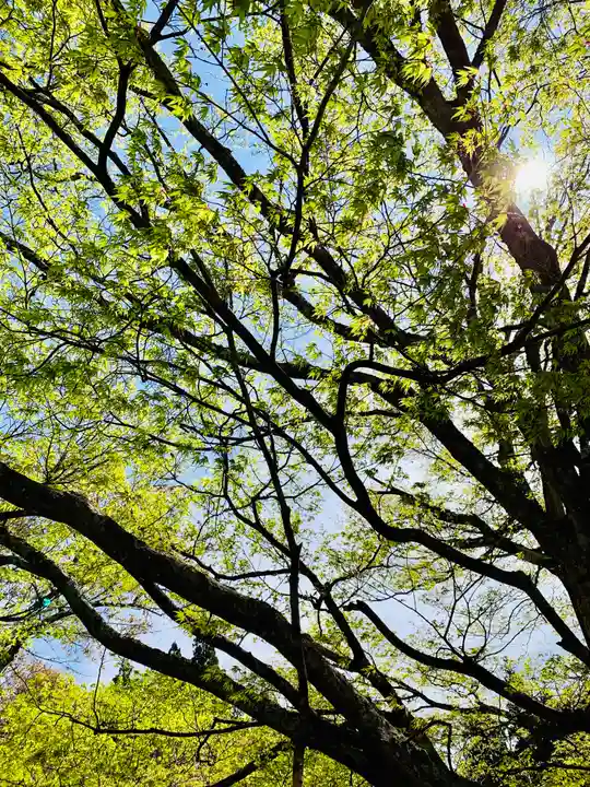 土津神社|こどもと出世の神さまの自然