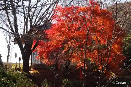 正法寺(滋賀県)
