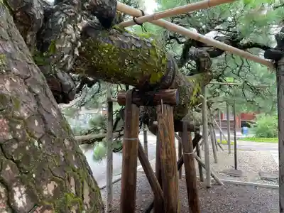 称念寺(京都府)