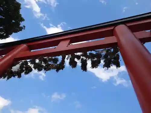 松尾大社の鳥居