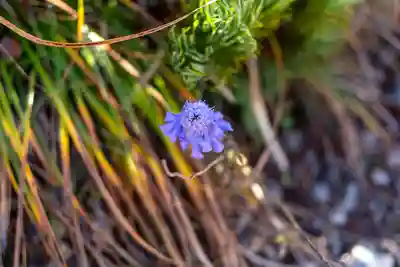 飯森神社奥社(長野県)