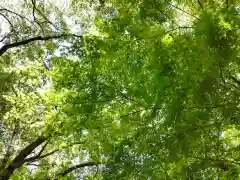 速谷神社(広島県)