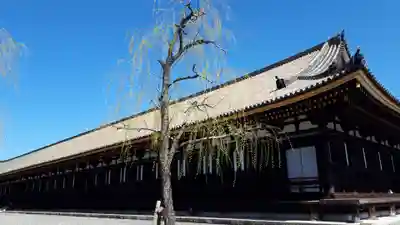 蓮華王院（三十三間堂）(京都府)