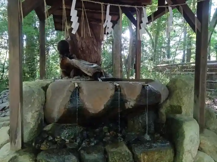 賀茂御祖神社(下鴨神社)の{uncategorized: "未分類", other: "その他", undefined: "問題あり", building: "その他建物", grave: "お墓", sacred_gate: "鳥居", guardian: "狛犬", statue: "像", buddha: "仏像", history: "歴史", nature: "自然", garden: "庭園", animal: "動物", pagoda: "塔", temizu: "手水舎", mountain_gate: "山門・神門", sanctuary: "本殿・本堂", subordinate: "末社・摂社", art: "芸術", scenery: "景色", jizo: "地蔵", ema: "絵馬", goshuin: "御朱印", omikuji: "おみくじ", items: "授与品その他", amulet: "お守り", goshuincho: "御朱印帳", eats: "食事", festival: "お祭り", votive_dance: "神楽", shichigosan: "七五三参", wedding: "結婚式", experience: "体験その他", initially: "初詣", around: "周辺", anti_infection: "感染症対策"}