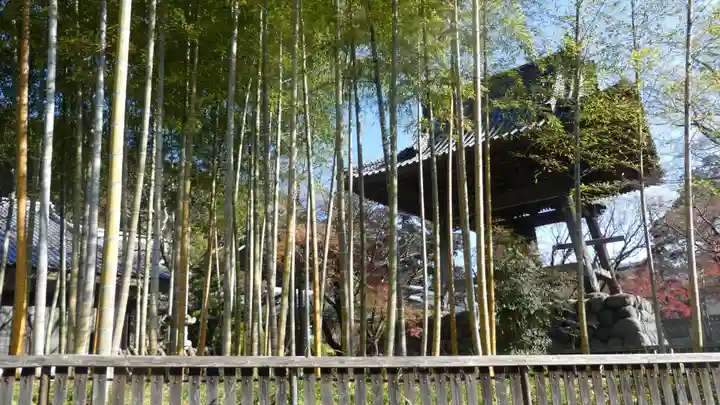 修禅寺(静岡県)