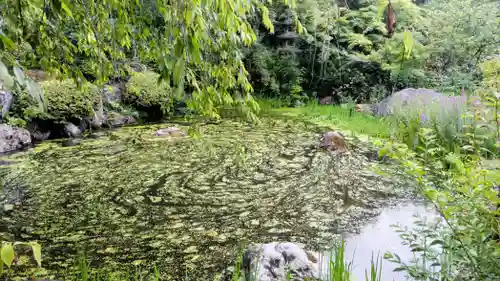 青龍山 吉祥寺(群馬県)