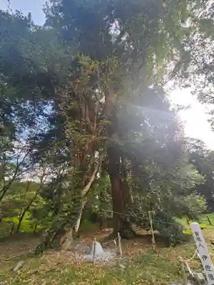 伊佐須美神社(福島県)