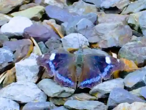 八街神社(千葉県)