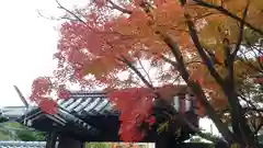 大報恩寺（千本釈迦堂）の建物その他