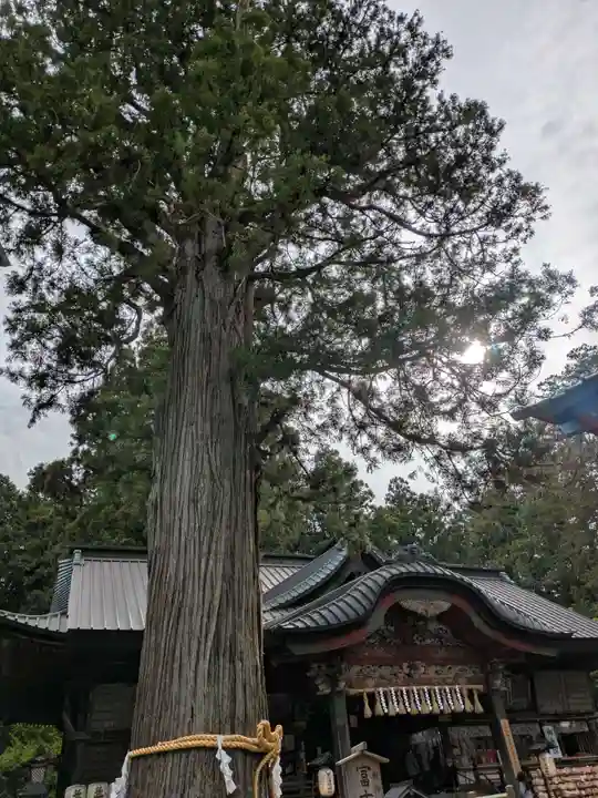 北口本宮冨士浅間神社(山梨県)