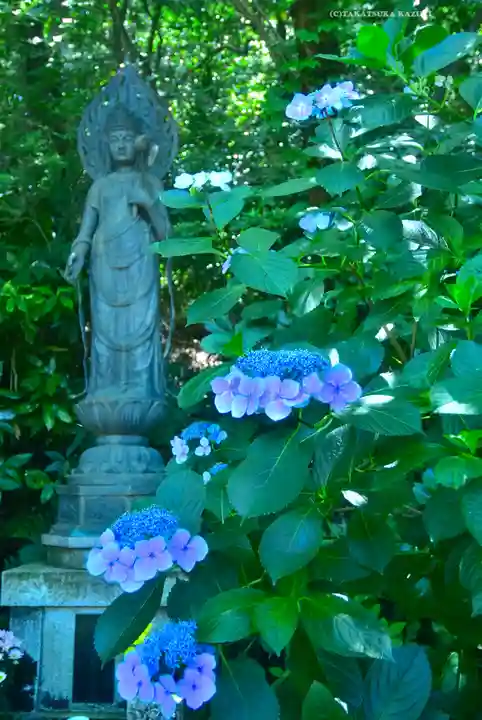 高幡不動尊 金剛寺(東京都)