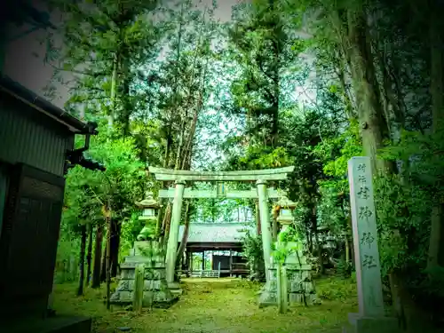 村上神社の鳥居