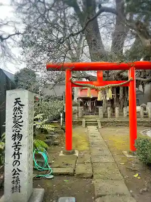 宮城野八幡神社(宮城県)