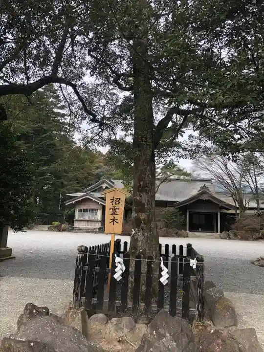 霧島神宮(鹿児島県)