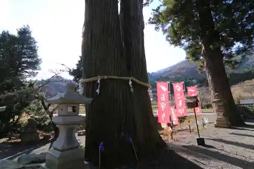 高司神社〜むすびの神の鎮まる社〜の自然