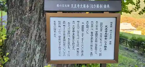 天王寺の歴史