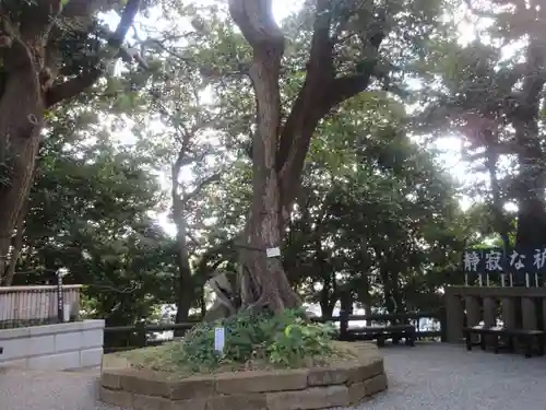 青木神社(神奈川県)
