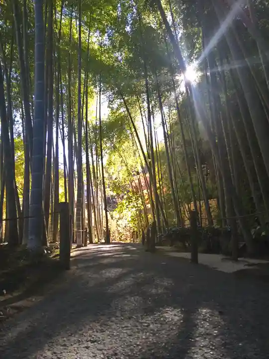 明月院(神奈川県)