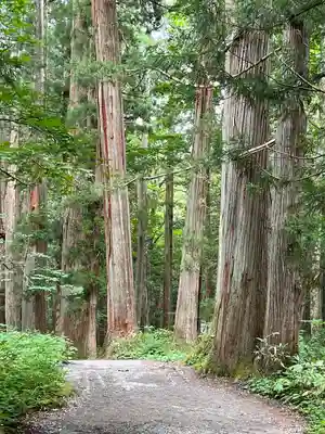 戸隠神社奥社(長野県)