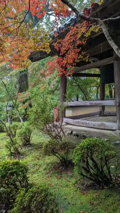 十輪寺(京都府)