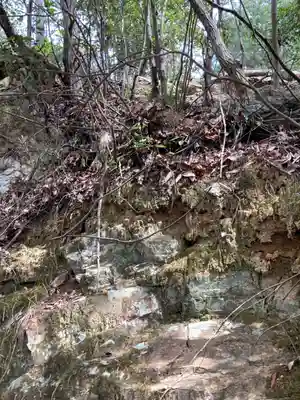 河上神社の周辺