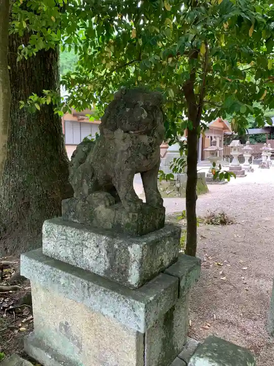 亀山神社の狛犬