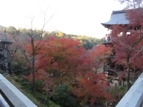 清水寺(京都府)
