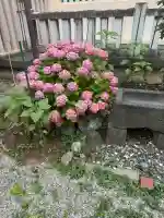 志茂熊野神社(東京都)