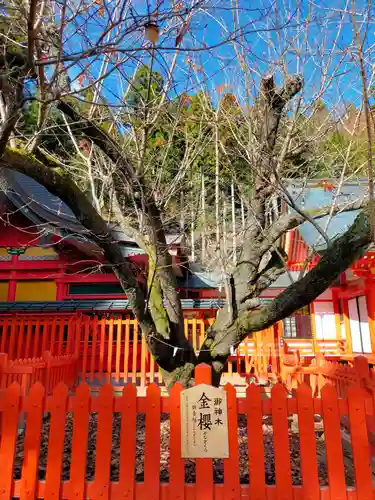 金櫻神社(山梨県)