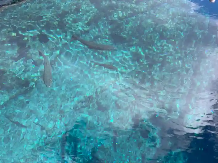 淺間神社(忍野八海)の周辺