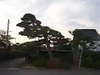 真教寺(青森県)