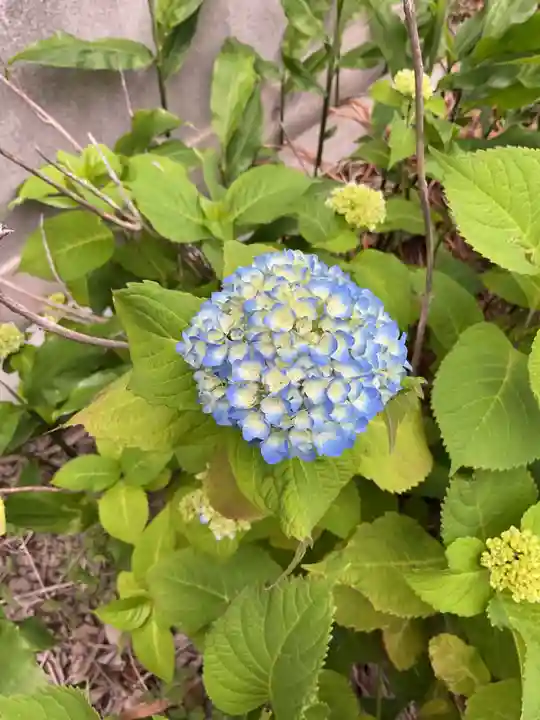天桂寺(愛知県)