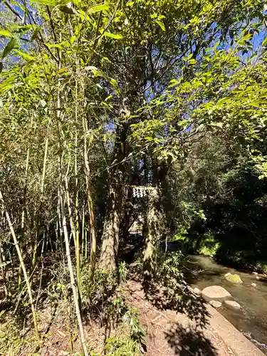 瀧川神社(静岡県)