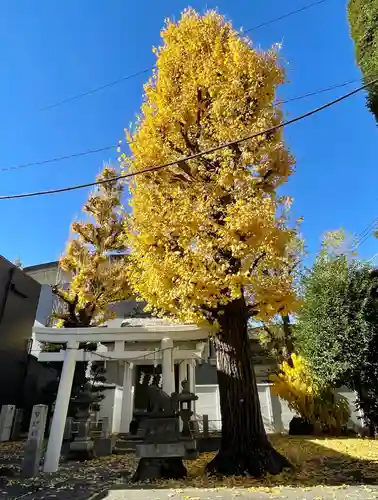 初音森神社の自然