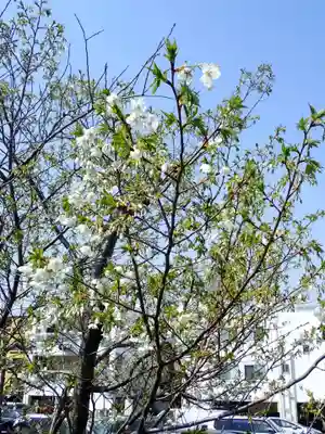 品川神社(東京都)