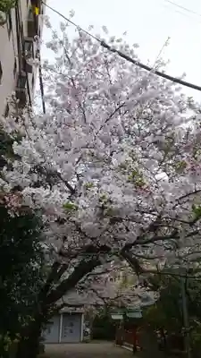 秋葉神社(東京都)