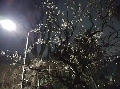 亀戸天神社(東京都)