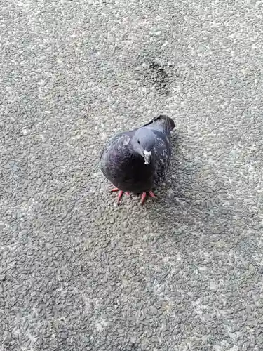 善光寺旧如来堂跡地蔵尊（延命地蔵尊）の動物