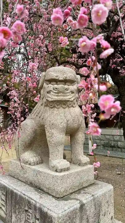 屯倉神社の狛犬