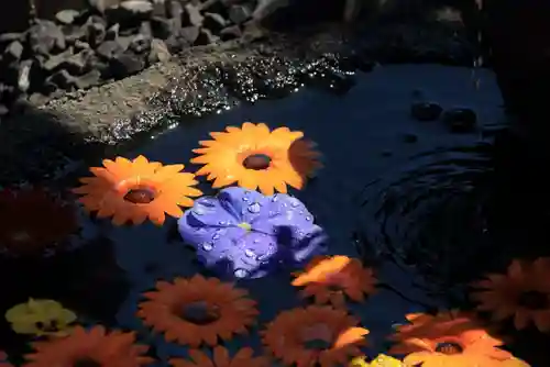 大鏑神社の手水