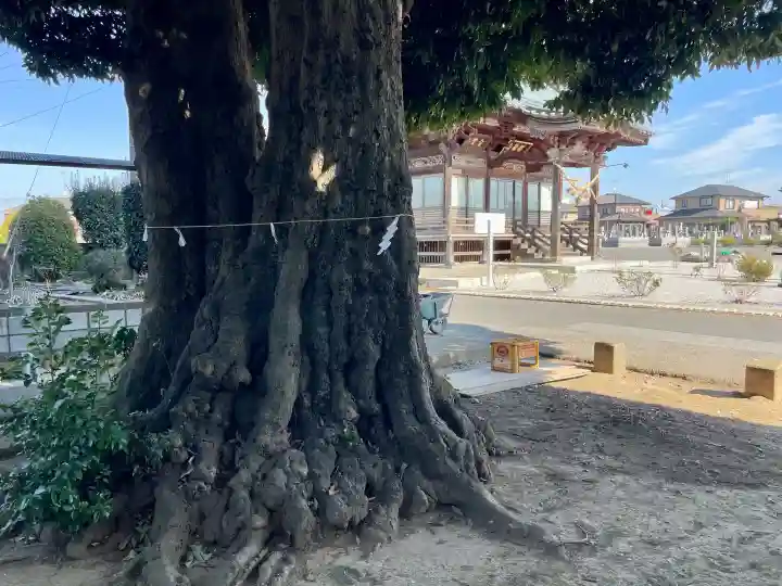 御嶽神社の{uncategorized: "未分類", other: "その他", undefined: "問題あり", building: "その他建物", grave: "お墓", sacred_gate: "鳥居", guardian: "狛犬", statue: "像", buddha: "仏像", history: "歴史", nature: "自然", garden: "庭園", animal: "動物", pagoda: "塔", temizu: "手水舎", mountain_gate: "山門・神門", sanctuary: "本殿・本堂", subordinate: "末社・摂社", art: "芸術", scenery: "景色", jizo: "地蔵", ema: "絵馬", goshuin: "御朱印", omikuji: "おみくじ", items: "授与品その他", amulet: "お守り", goshuincho: "御朱印帳", eats: "食事", festival: "お祭り", votive_dance: "神楽", shichigosan: "七五三参", wedding: "結婚式", experience: "体験その他", initially: "初詣", around: "周辺", anti_infection: "感染症対策"}