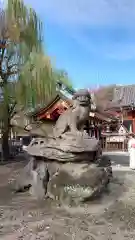 浅草神社の狛犬