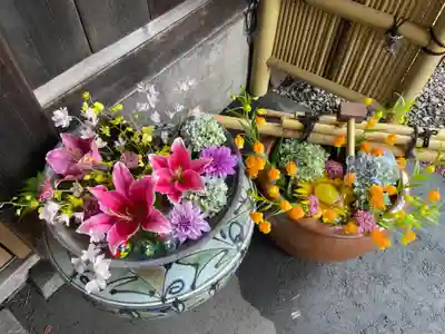 多賀神社の花手水。明日からの例祭に備えてお花が新しくなったタイミングで見る事ができたようです。フライング参拝でしたが、例大祭の幟も出ていました。そういえば、護国神社の花手水、気づかなかった!と思ったら、塀の西側にあるのですね。うっかりしてました。