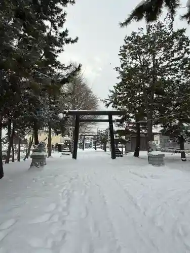 上磯八幡宮の{uncategorized: "未分類", other: "その他", undefined: "問題あり", building: "その他建物", grave: "お墓", sacred_gate: "鳥居", guardian: "狛犬", statue: "像", buddha: "仏像", history: "歴史", nature: "自然", garden: "庭園", animal: "動物", pagoda: "塔", temizu: "手水舎", mountain_gate: "山門・神門", sanctuary: "本殿・本堂", subordinate: "末社・摂社", art: "芸術", scenery: "景色", jizo: "地蔵", ema: "絵馬", goshuin: "御朱印", omikuji: "おみくじ", items: "授与品その他", amulet: "お守り", goshuincho: "御朱印帳", eats: "食事", festival: "お祭り", votive_dance: "神楽", shichigosan: "七五三参", wedding: "結婚式", experience: "体験その他", initially: "初詣", around: "周辺", anti_infection: "感染症対策"}