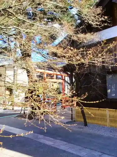猿田彦神社(東京都)