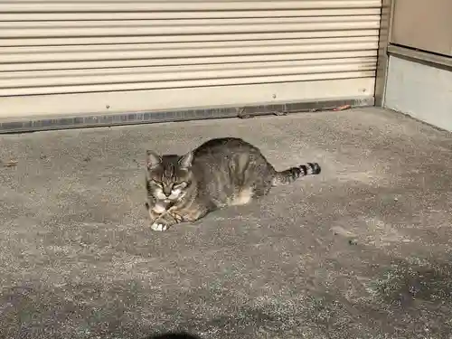 白金氷川神社(東京都)