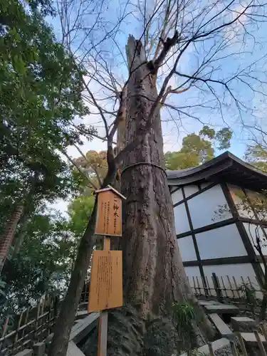 川越氷川神社の自然